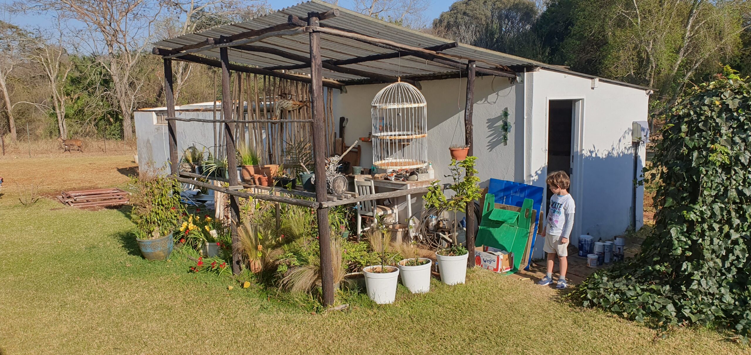 The Shed Conversion